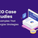 What is an SEO Company? An Insight Into What They Do