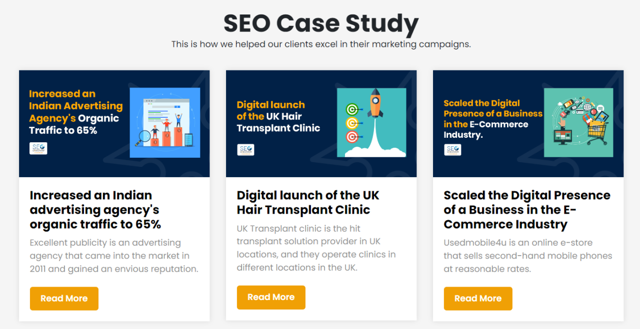 SEO Case Studies and Success Stories